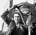 souvenirs en noir et blanc (174)
